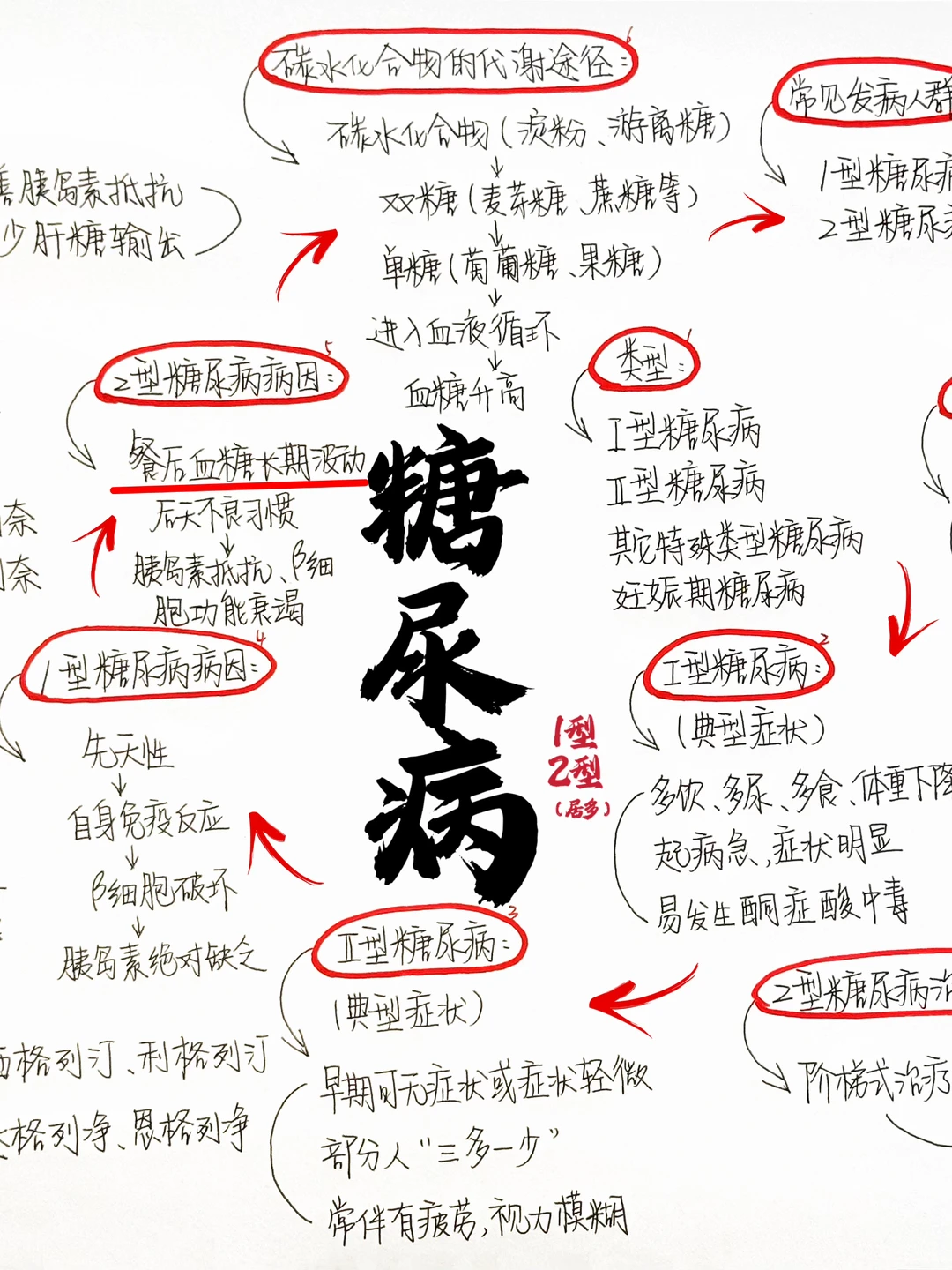 花了一晚上终于把“🍬尿B”梳理明白了！