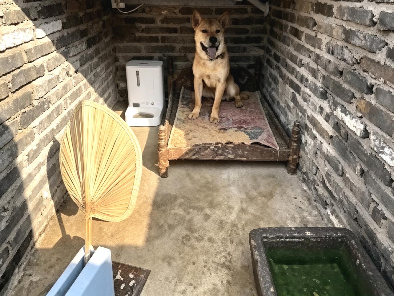 中国不但城乡的民居装有空调，农民给狗窝和猪圈都装上了空调，照片一出，外国人认为这