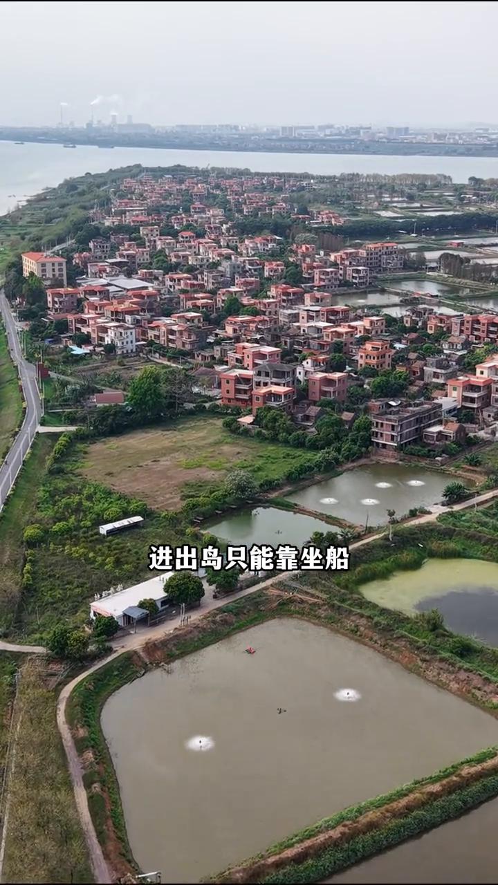 佛山海寿岛，一座资本家看不上的岛屿。这应该就是现实版的世外桃源，全岛3600余