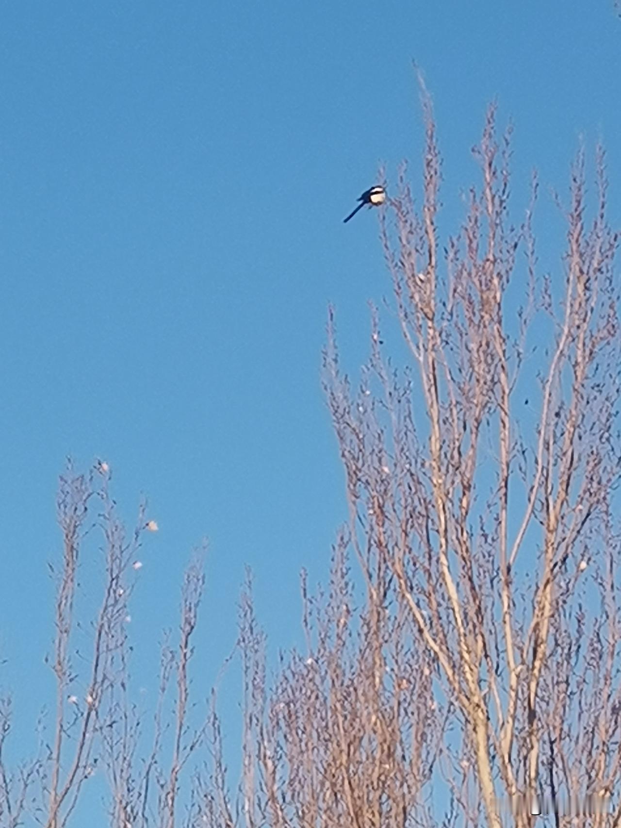 今年最舍不得删的照片