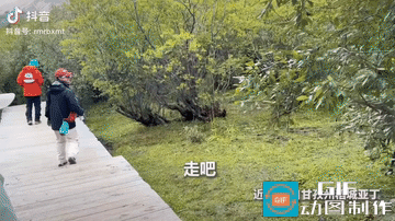 “上人民日报了!”四川甘孜，一名男子去稻城亚丁旅行，走着走着，旁边突然窜出成群