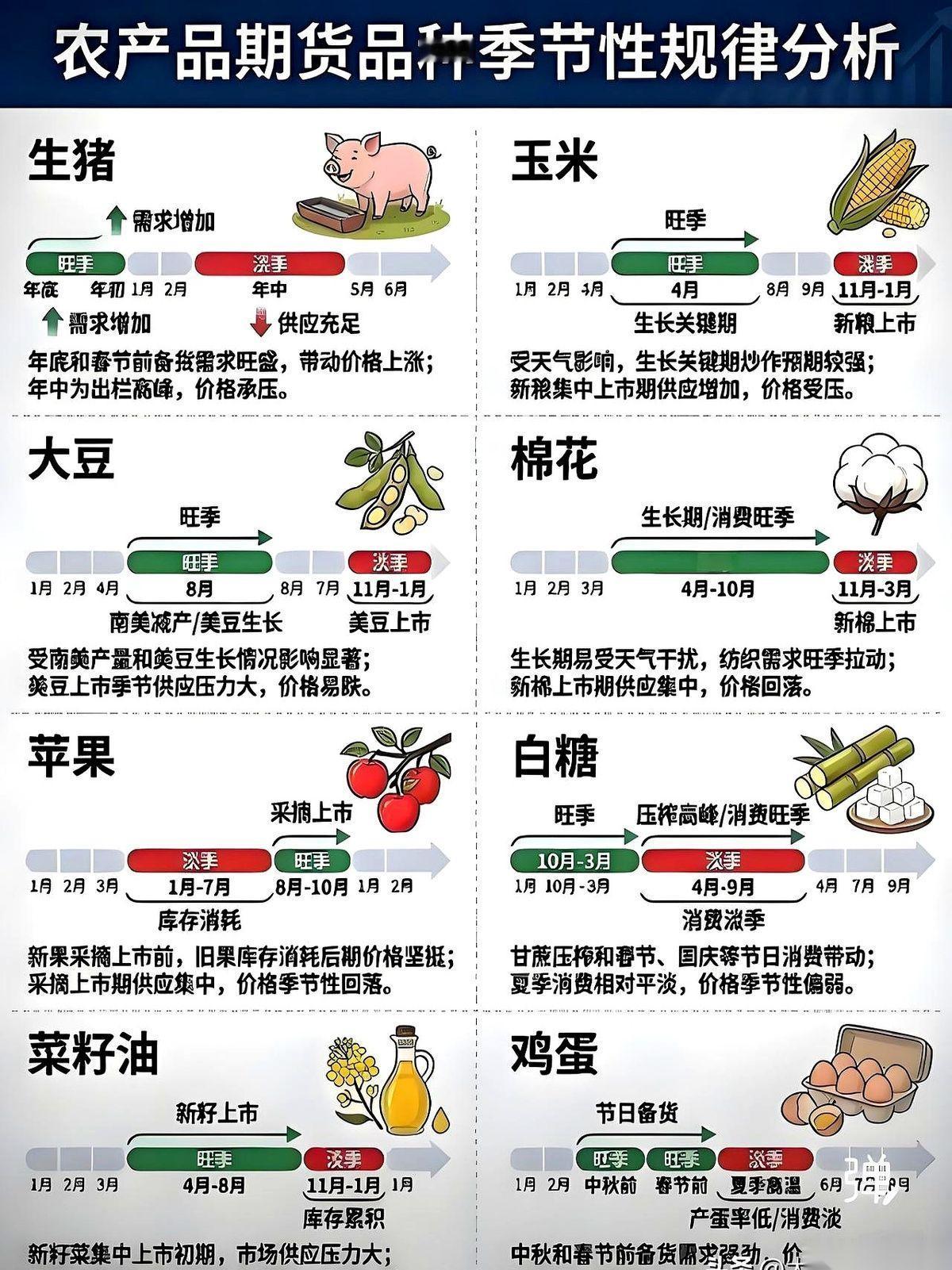 你看的是一串数字，但背后，是一场不见硝烟的豪赌。棉花，疯了。屏幕上的价格曲线，