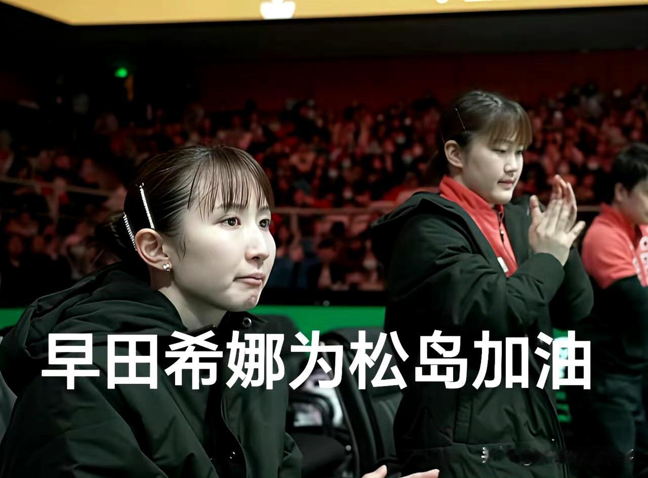 日乒内部矛盾凸显队内不和闭环引关注成都混合团体世界杯赛期间，日本乒乓队内