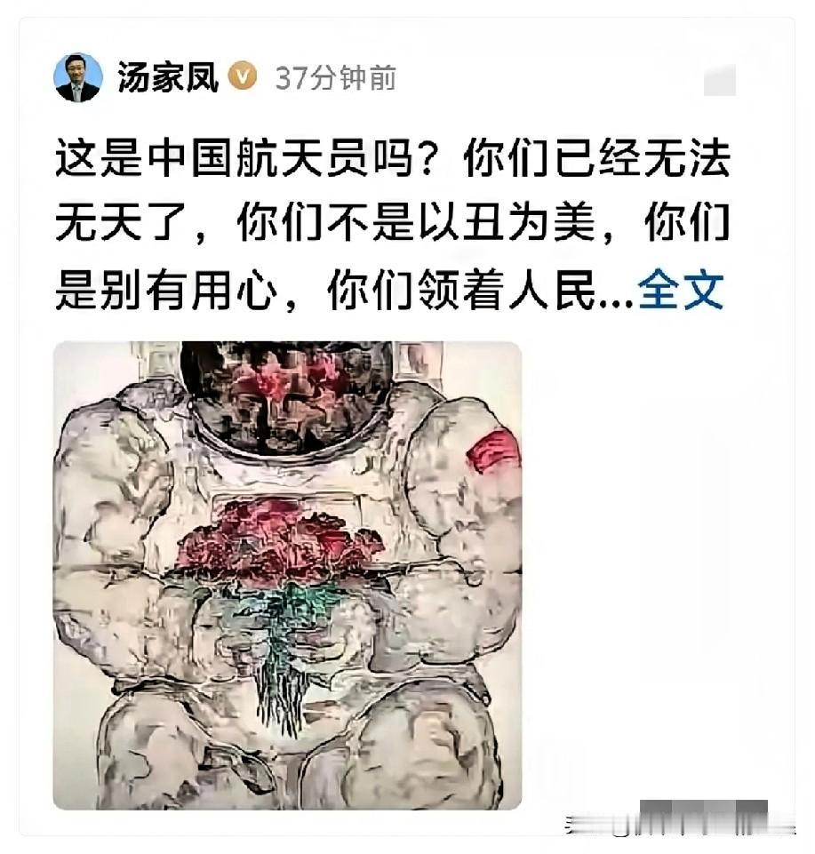 昨天，南京大学博士汤家凤发了一条头条，只有短短几行字：“这是中国航天员吗？你们