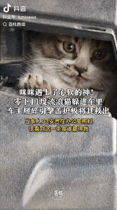 “太有人情味了！”吉林省吉林市，在零下11℃的严寒中，一只流浪猫为了取暖，钻进了