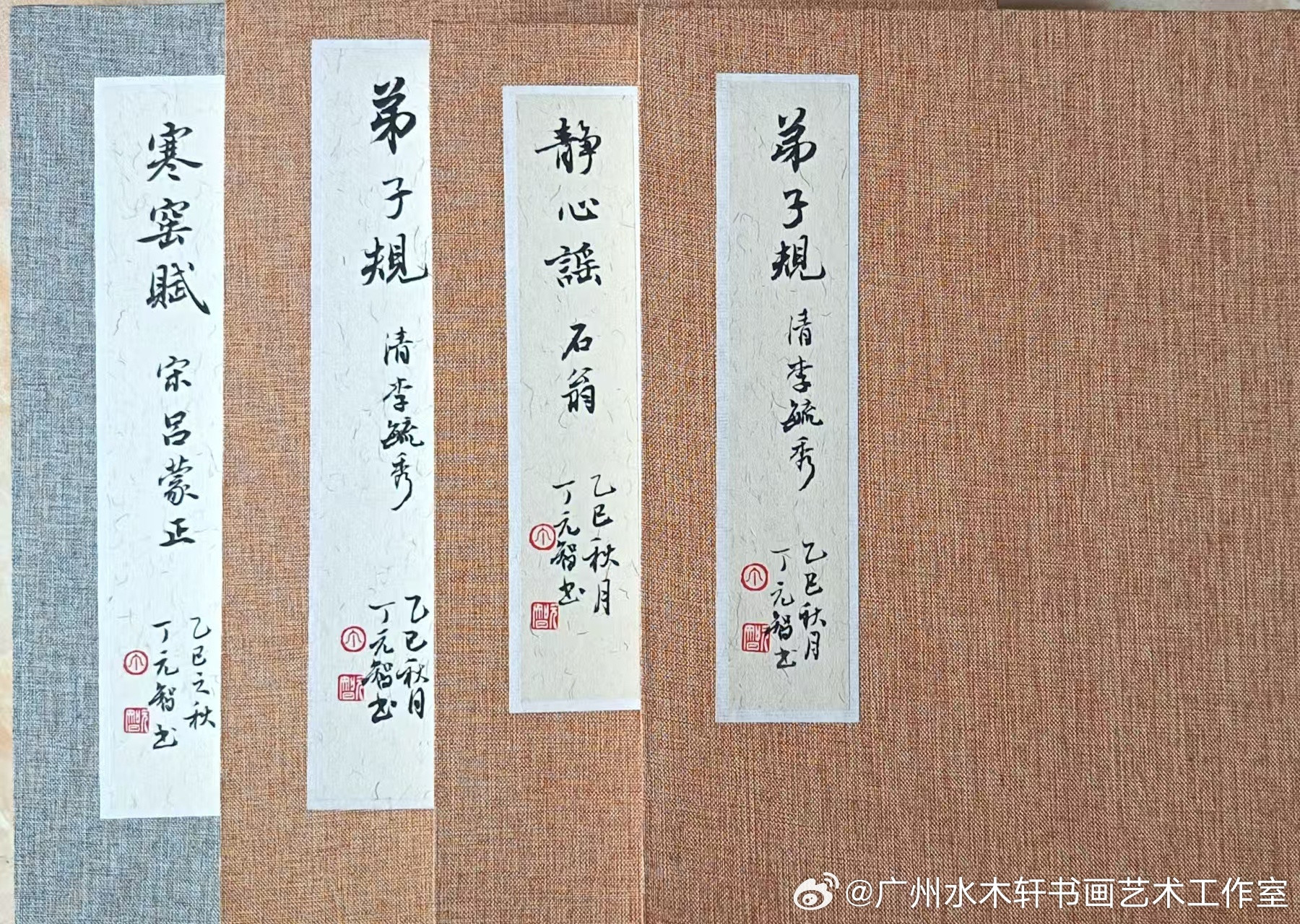 丁元智老师书法作品欣赏。册页《静心谣》。