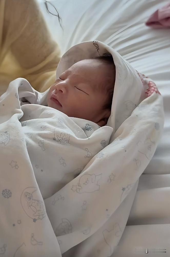 别再盯着孩子鼻子高不高了，你根本没看懂。这哪是生个孩子，这是汪家打的一场翻身