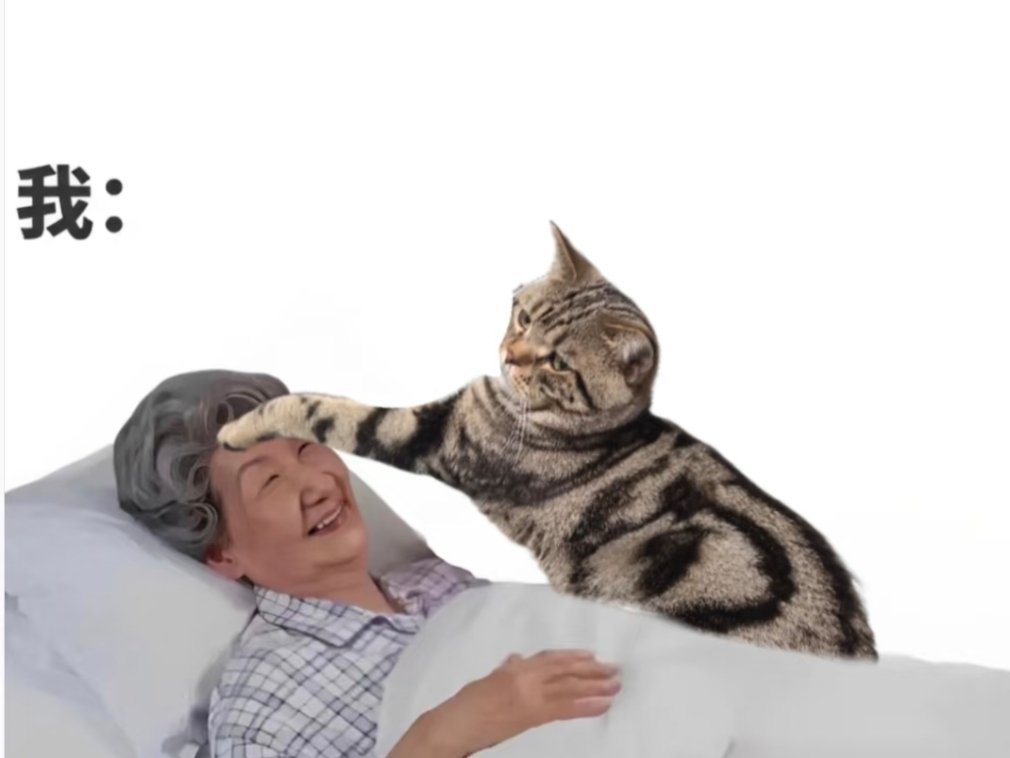 当你老了躺在床上，谁会对你最亲？这组数据很戳心！1、孙子的概率：3%；2、孙女的