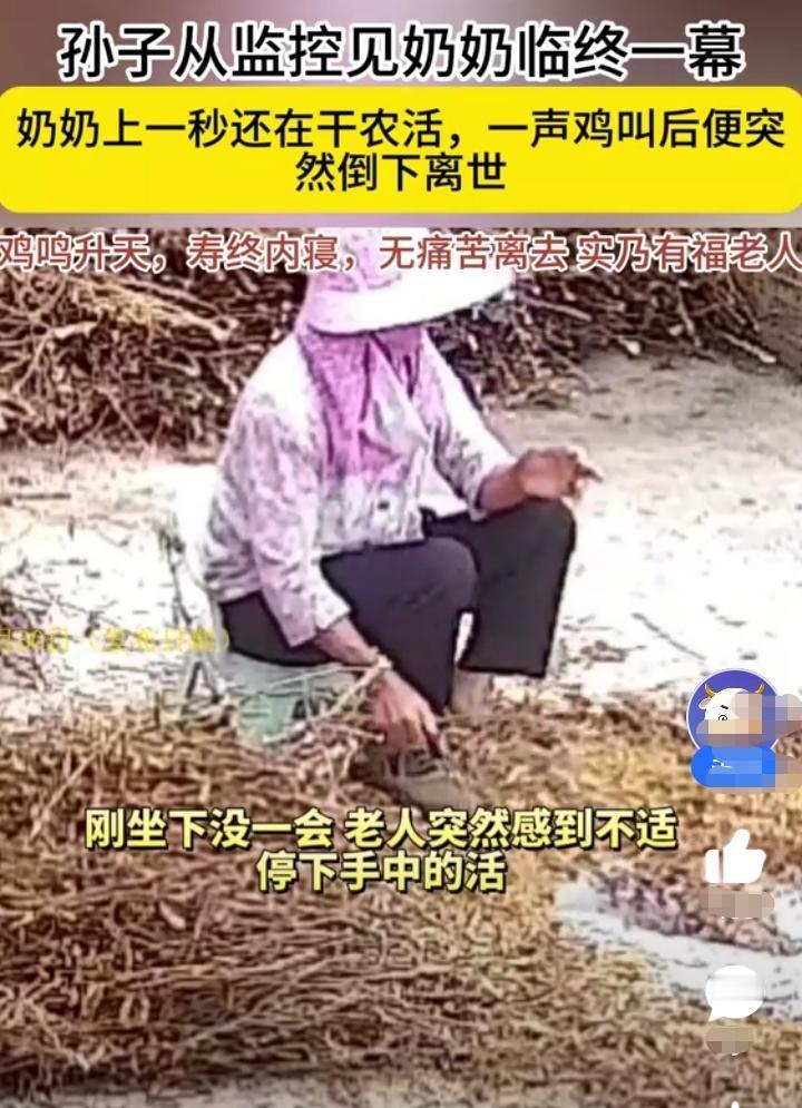 孙子从监控看见奶奶临终一幕！奶奶上一秒还在院子里干活，下一秒没坐一会儿就感到全身