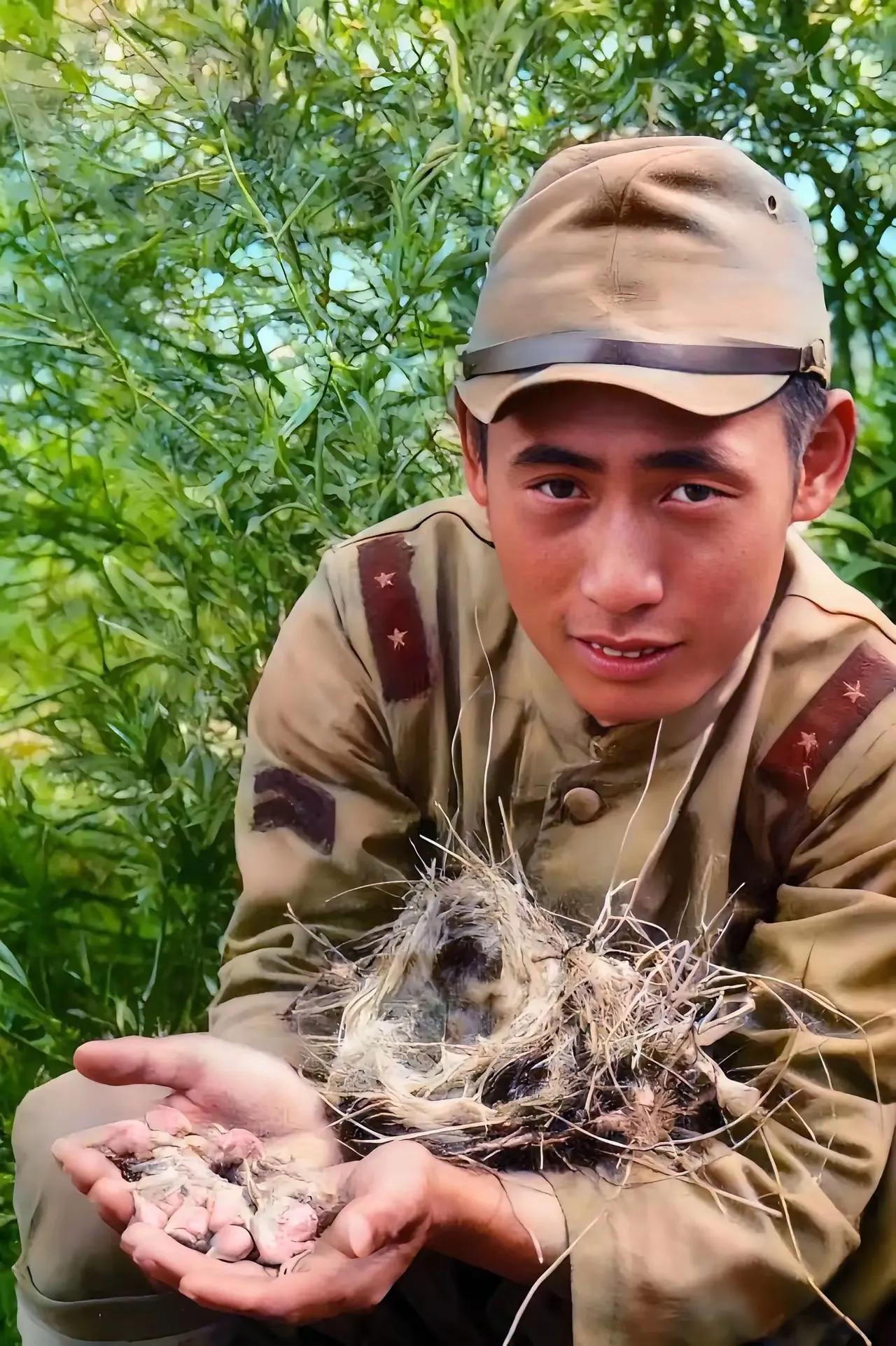 日本鬼子残暴无比，连掏出来的没毛小鸟都要吃掉，把他们比喻成魔鬼，阎王一点不夸张，