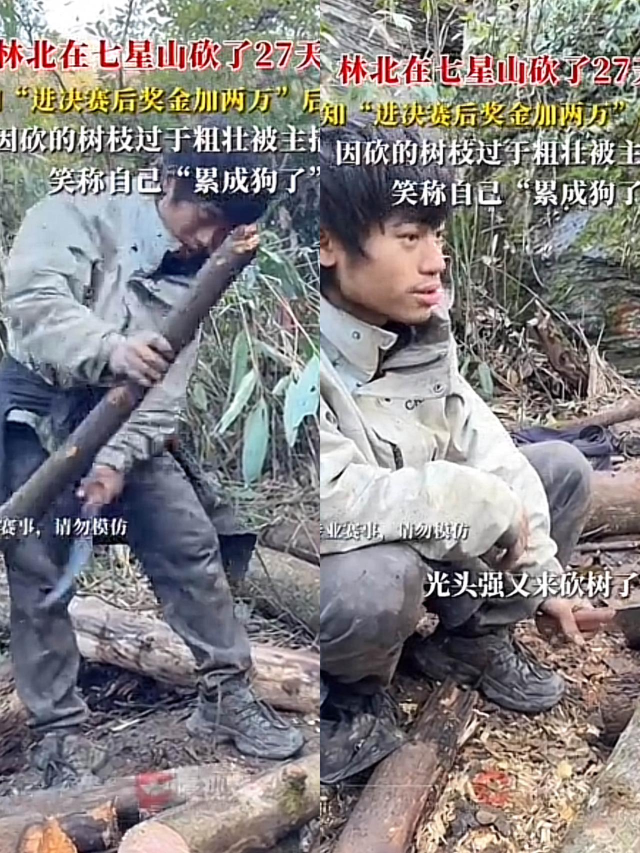 这档求生综艺把人性扒得太狠了！饿到腿肿的林北发现救命马齿苋，第一反应竟是喊全