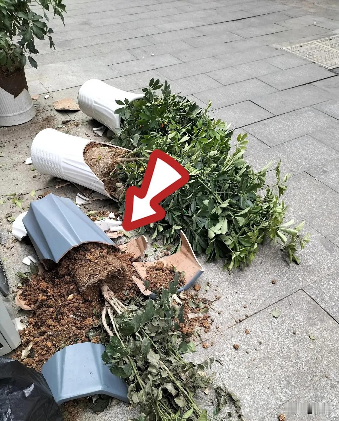 人这一生真的太无常！再健康的身体，也抵不过命运的一瞬无常越长大越能读懂一句