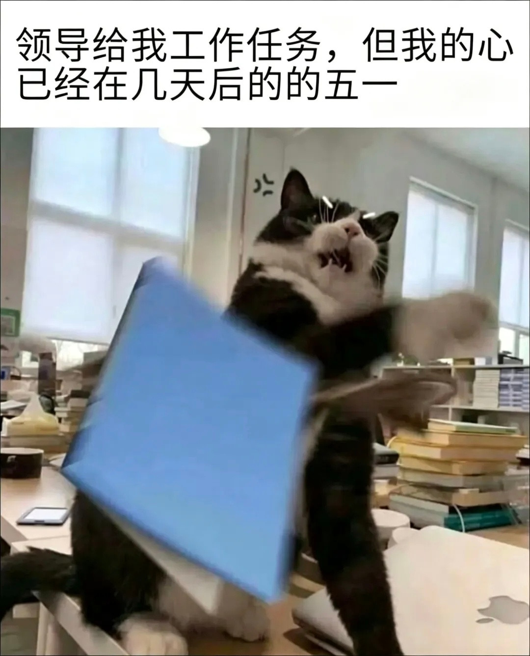 等五一memes