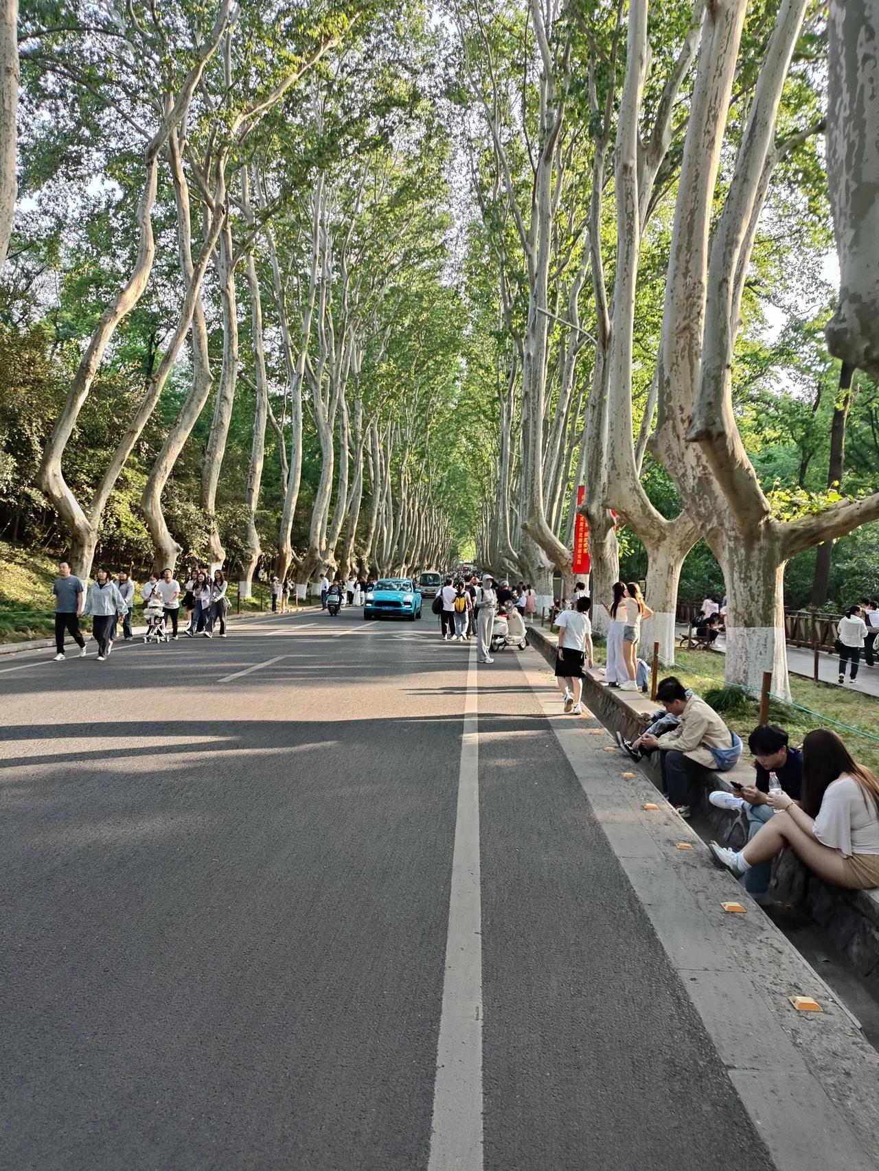 自从五一节去扬州南京看了中山陵，美龄宫，个园以后，感触太深了！人从生下来那天