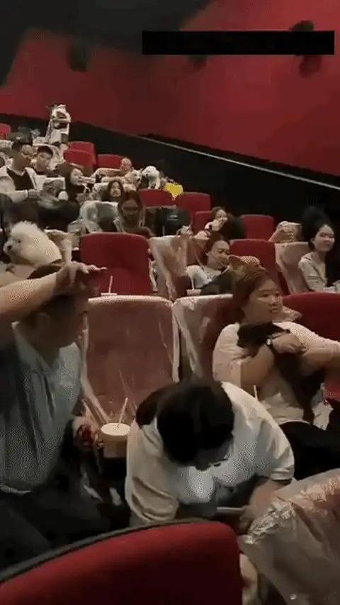 不要告诉我这是电影院？？？