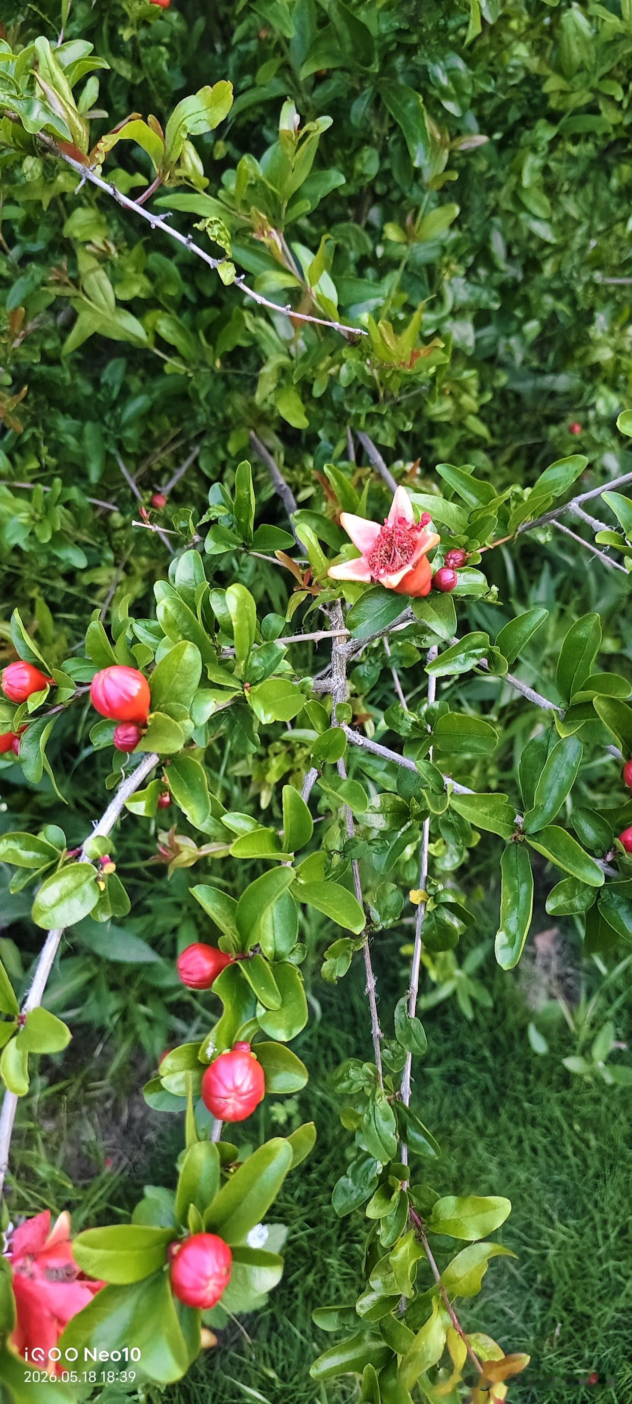 十床的儿媳和儿子来医院里看十床的，说了上海的养老问题。上海一般都是儿子给养老，女