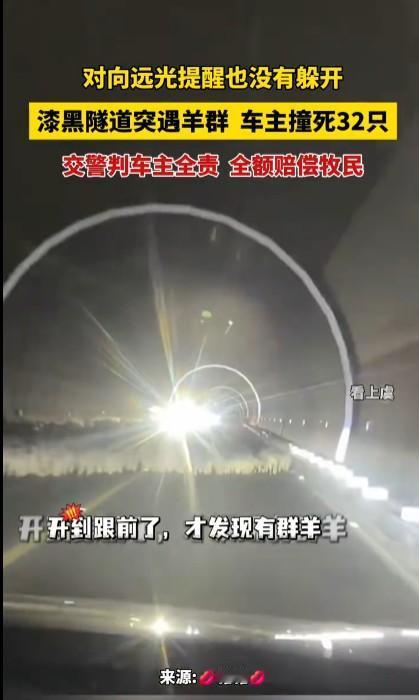 交警判定车主全责，要全部赔偿牧民的羊确实没有问题，主要是车主不熟悉当地情况造成的