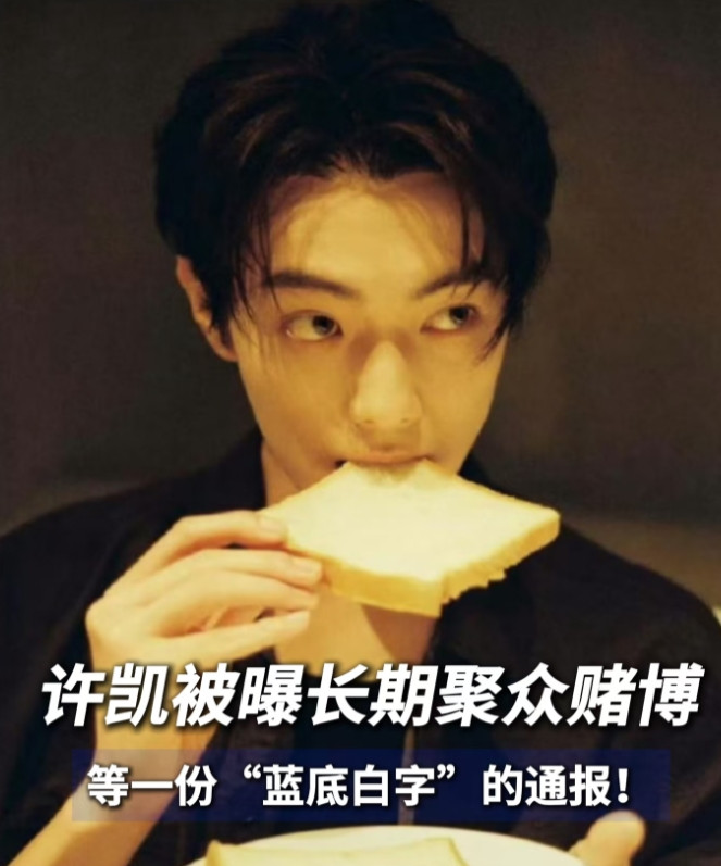 你知道为什么艺人担心塌房吗？不仅仅是因为被封杀没戏拍这么简单，就拿最近很火的
