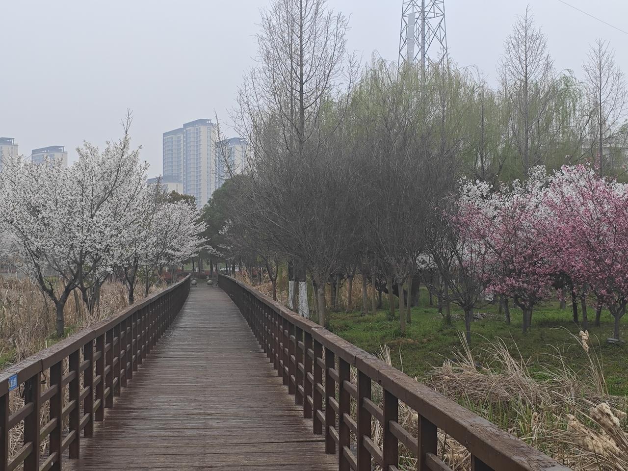 写出张雪峰猝死给普通人带来10个警示1. 再年轻、爱运动也不是健康护身符，心源