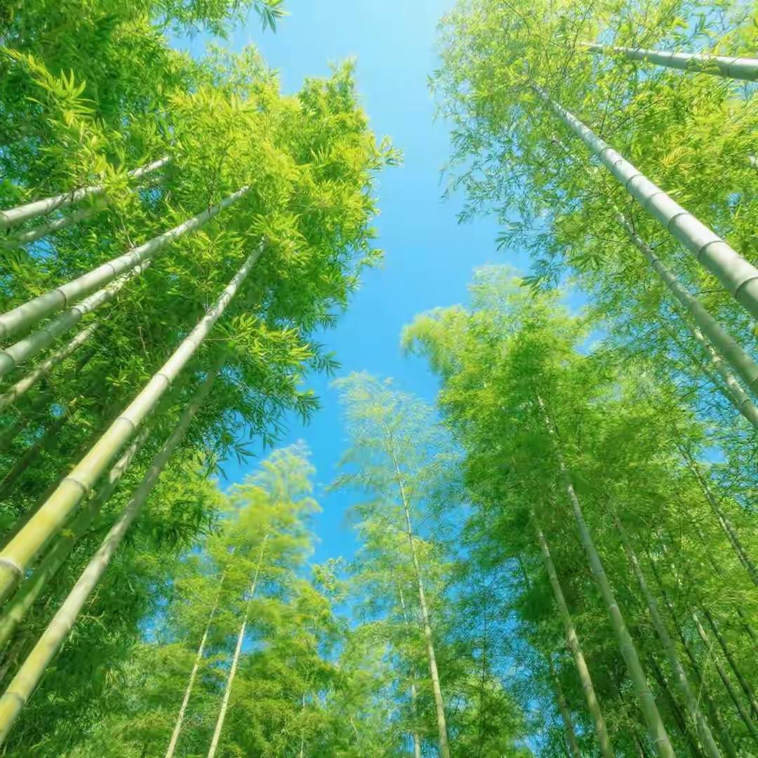 高兴啊高兴！谁懂啊，这股爽劲直接把前几天攒的闷气全冲没了！凌晨三点柏林的马克斯