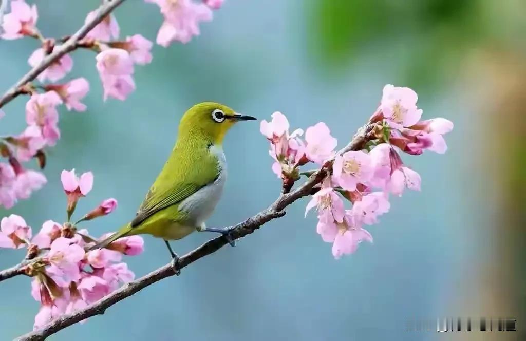 男性最大的情感需求是什么?男性最深的情感需求，是“被理解、被接纳、被需要”的