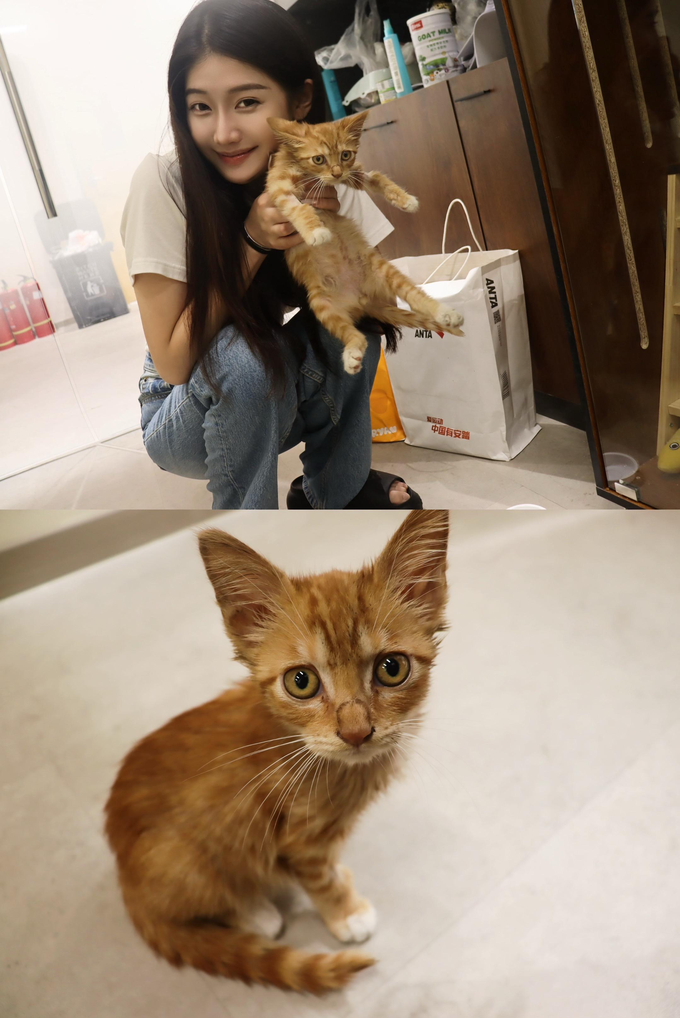 被爱会疯狂长出血肉。这只小猫叫言言，是用我艺考机构最后一个字来命名的。...