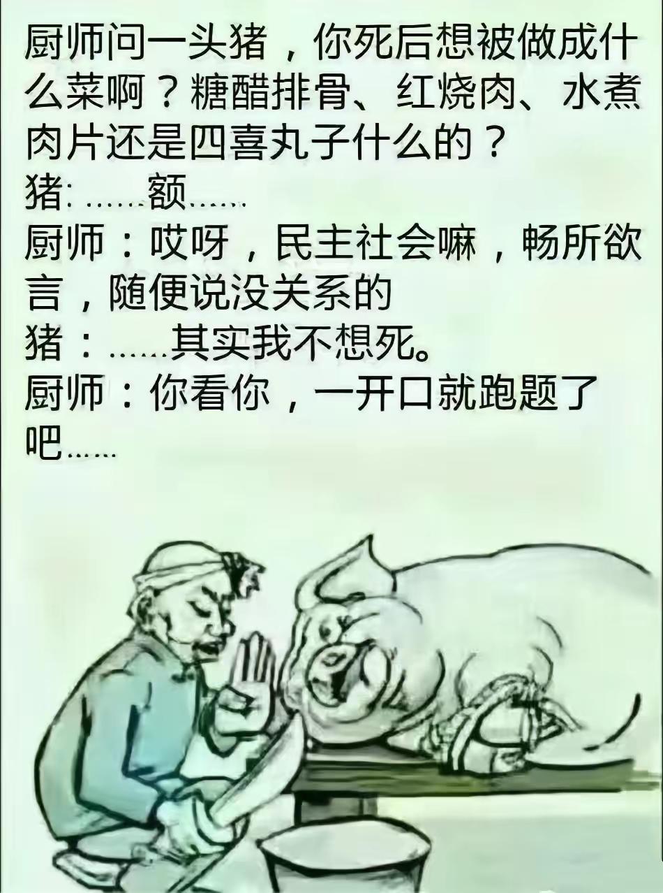 最悲哀的事情是个个认为自己是厨师，与阿Q同出一门。其实自己是待宰的那头猪。