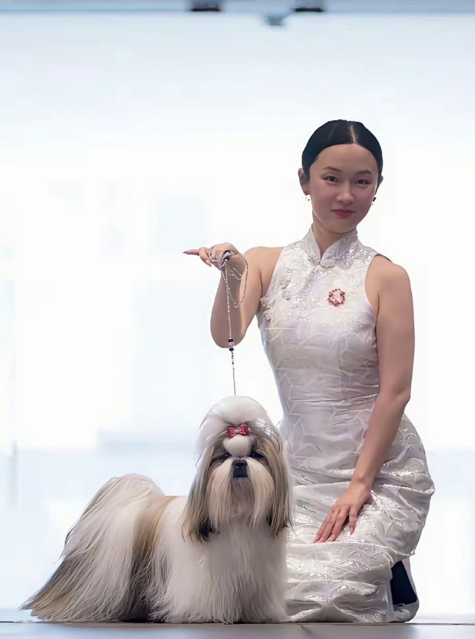 霍思燕旗袍装真的太显身材了，不得不说她好爱狗