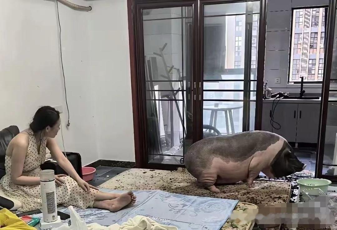 这样的家，我是一刻都待不下去