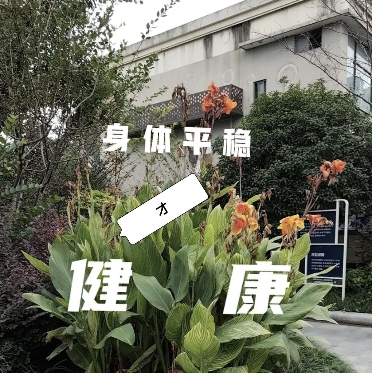 得了癌症差异就在这里🌿没什么，很快就会过去。。真的就很快就过去。感觉上