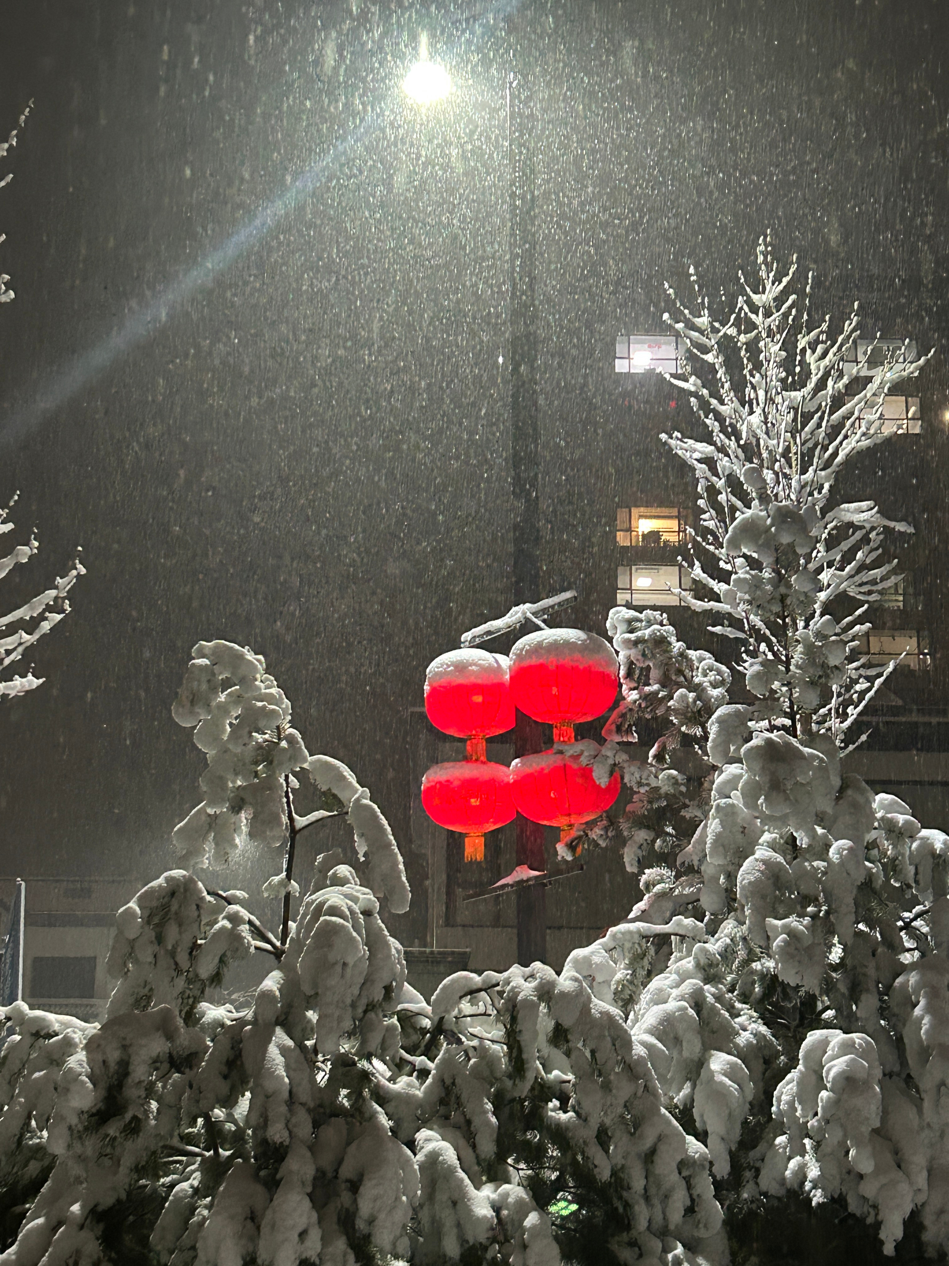 rose真的不考虑换掉金发吗，已经完全受损了啊