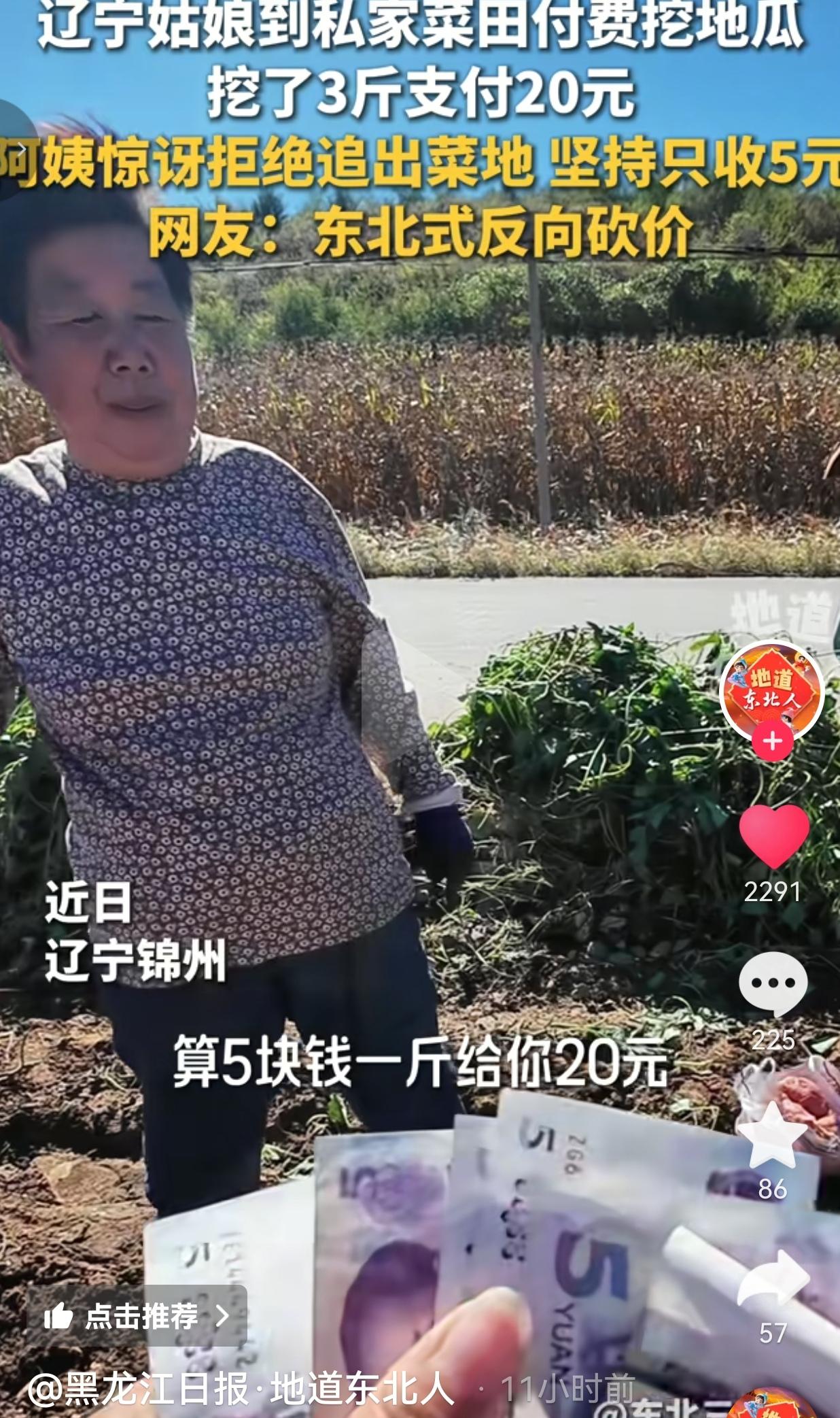 双向奔赴的善意太美好了。近日在辽宁锦州。一名姑娘路过当地的私家菜地，看见一位阿姨