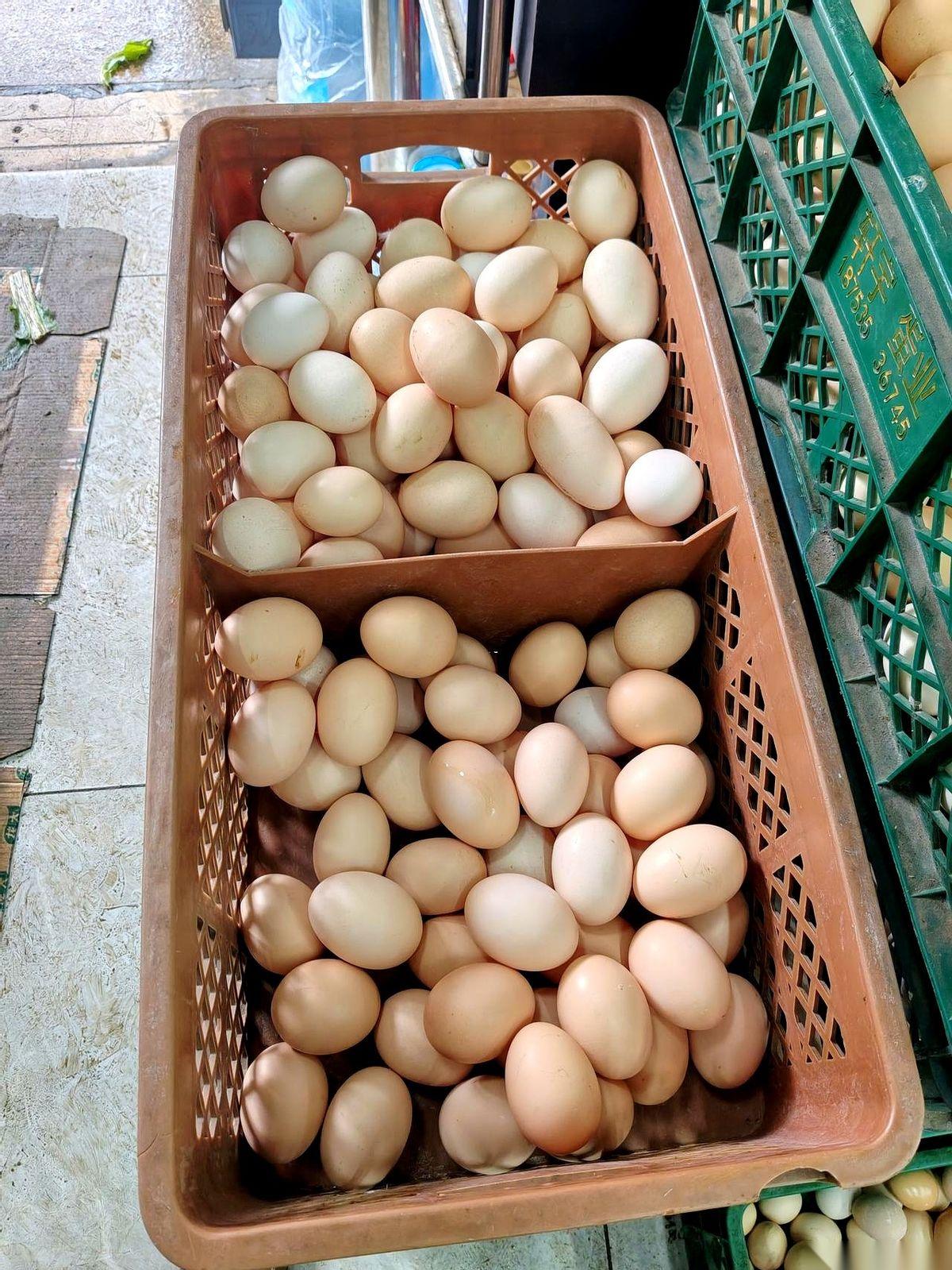 5块2毛8一斤！我伸向鸡蛋的手，就那么停在半空。脑子里嗡的一下，就剩这一个红色
