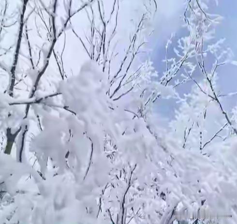 拉尼娜上线！今冬山东是暖冬？冬春连旱+冻雨要警惕！家人们！昨天刚给家里囤完