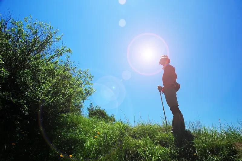 天晴豋山无雨日丽赏景忙，别春迎夏上山岗。倦意催人崖前站，山涧清风袖里藏