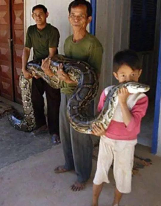 家人们，看完真的后背发凉！太惊险了！就在4月26号，贵州黔西南晴隆县，一条