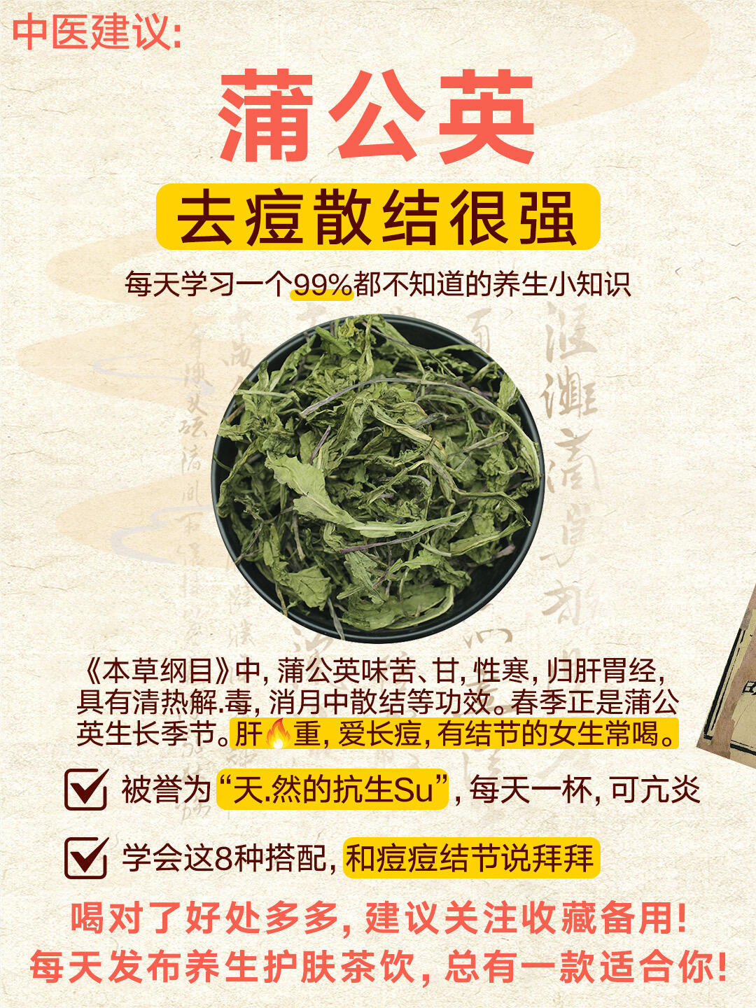 99%的人不知道！蒲公英消炎祛火散结，擅长消乳痈（乳腺结节，乳腺增生）国医的精诚