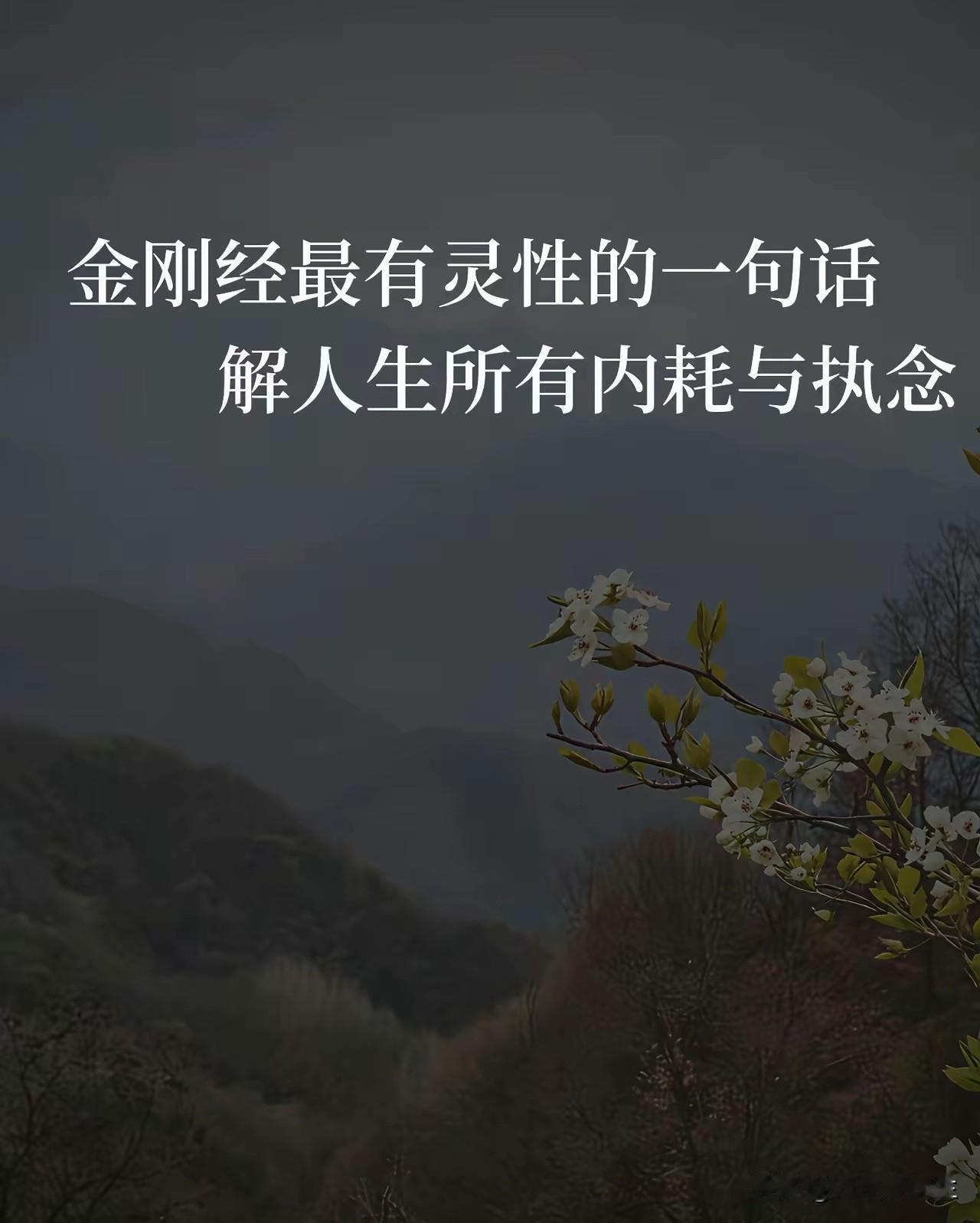 《金刚经》流传千年，字字皆般若最戳心、最能渡人的一句莫过于——应无所住，而