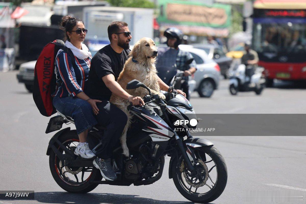 法新社今天在德黑兰拍摄的可爱照片。伊朗一次打出国威，连法新社、BBC都开始捕捉德