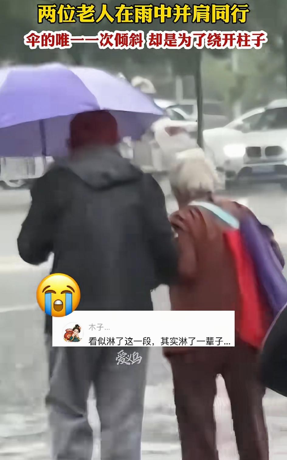 看似众淋了一段雨，其实淋了一辈子的雨。一对老夫妻在雨中行走，男的只管自己打伞，女