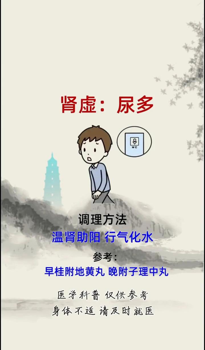 肝虚：屁多调理方法。疏通肝气，健脾和胃。参考：早用逍遥丸，晚用健脾丸。·温肾