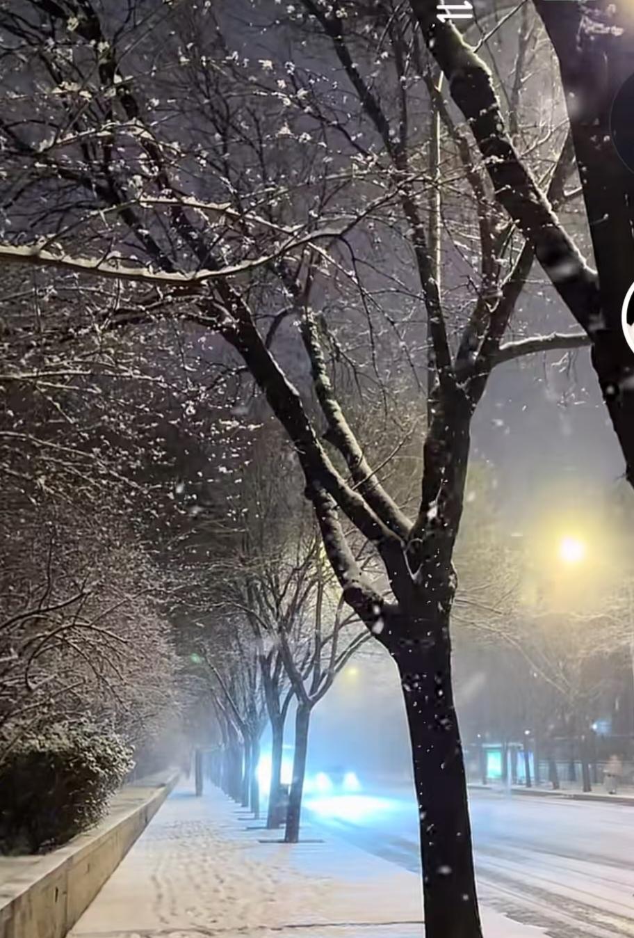 今年冬天的不同这个冬天的哈尔滨，可以用精致形容。大雪一下，马上就清理干净。不是当