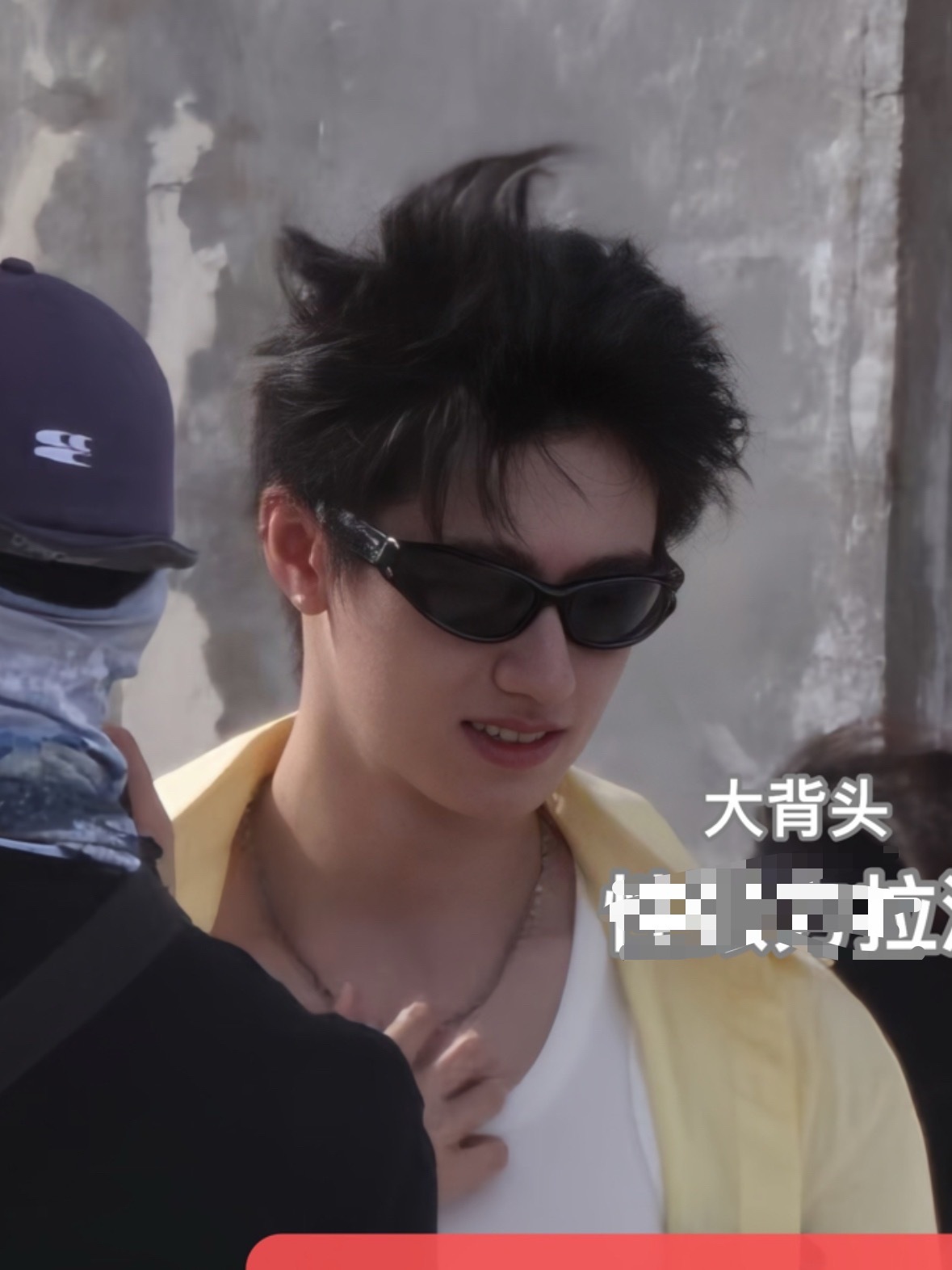 长毛咪炸毛就这样
