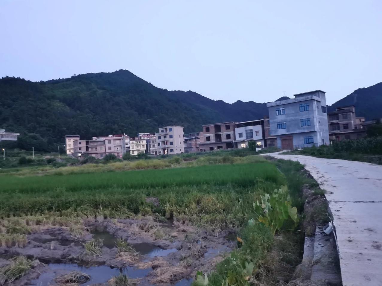 回老家时，两个发小拉我去打麻将，我说不想打，她们一个劲的劝，赶鸭子上架，三缺一，