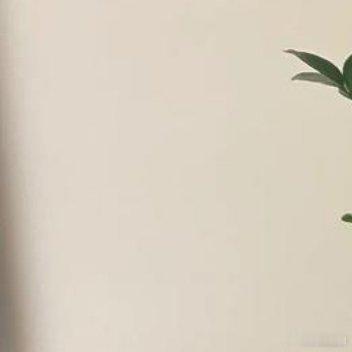 ᵕ̈ɴɪᴄᴇ🌵ᵕ̈ɴɪᴄᴇ🌵ᵕ̈小宝贝今天11个月啦愿你在成长的