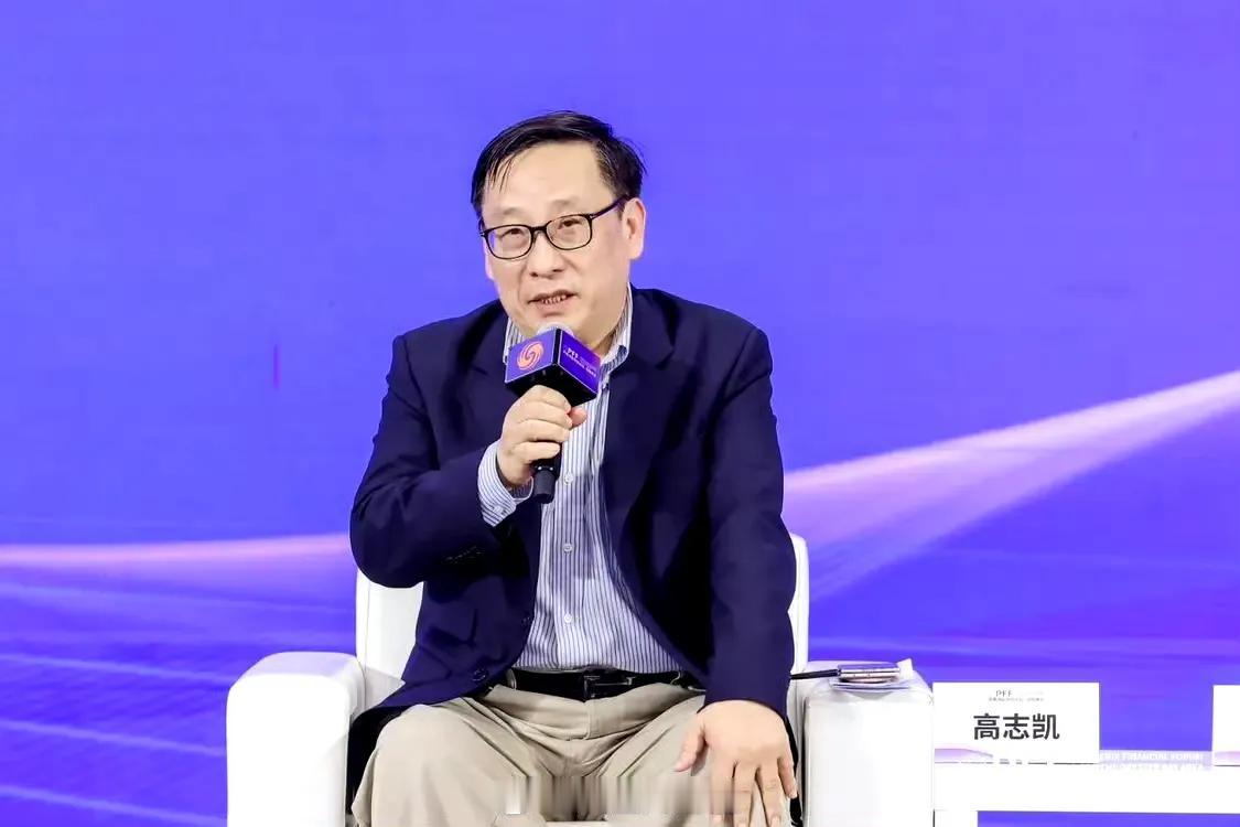 高志凯建议要大幅提高人民币在国际贸易支付结算中所占的比例。5月27日，在凤凰