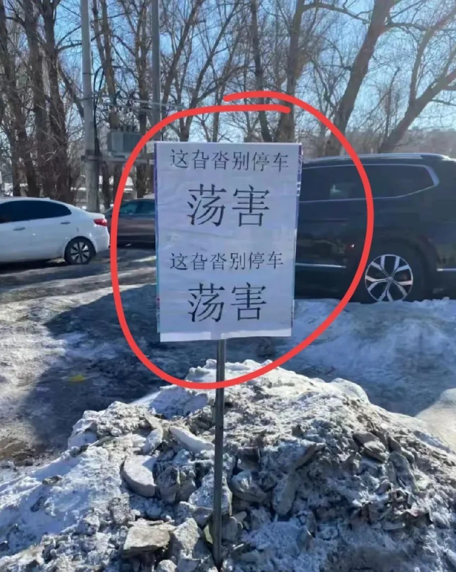 来个东北人解释下这个荡害是什么意思我一个山东人表示看不懂