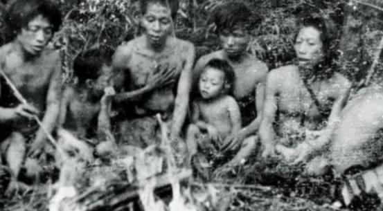 1956年，解放军在哀牢山密林中，发现了一群几乎全裸的男男女女！密林里突然窜