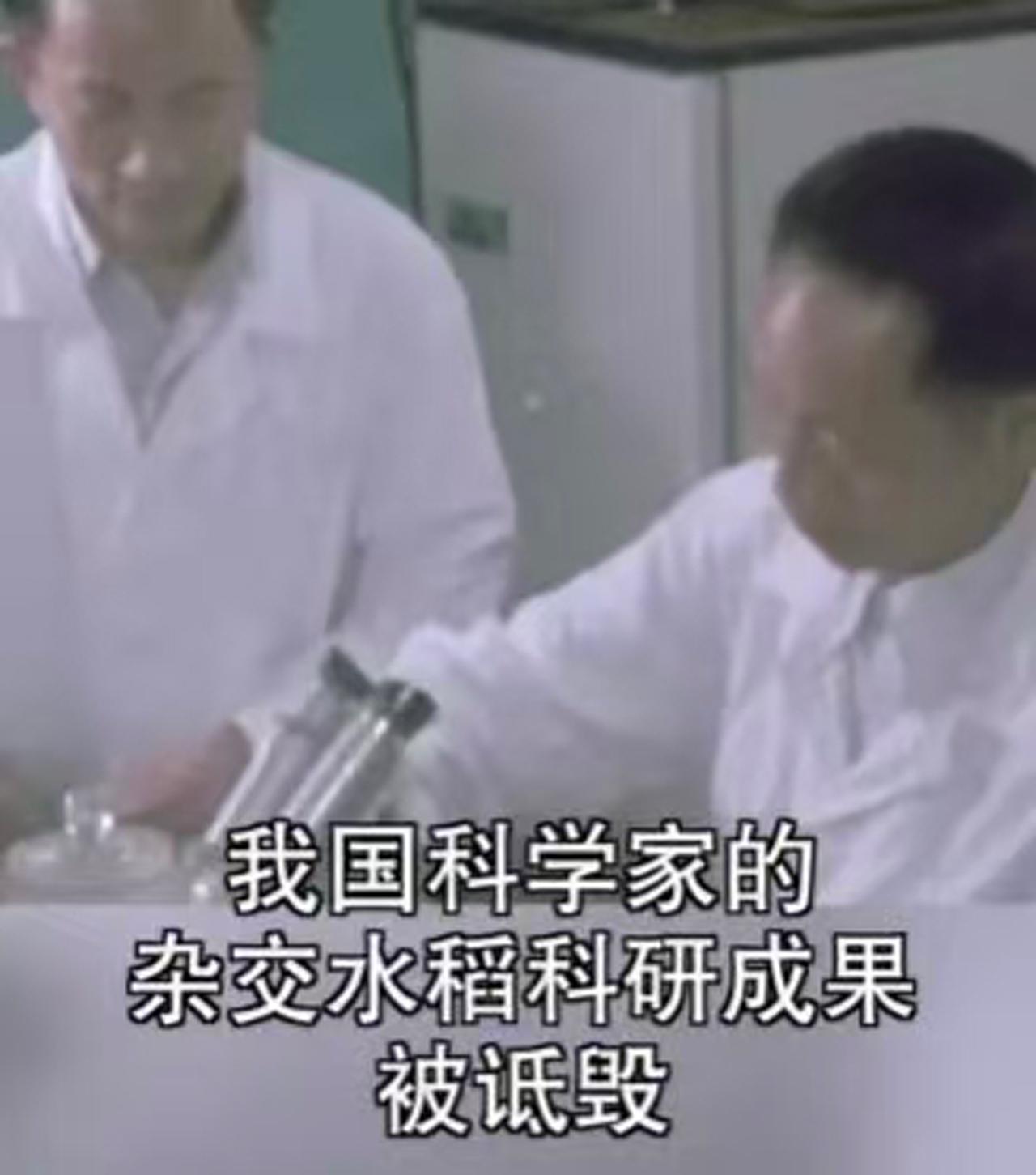 【200万粉网红诋毁袁隆平被刑拘，周兆成：流量不能踩法律红线！】 为博流量恶