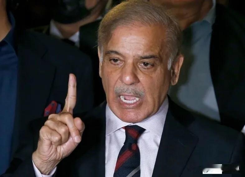 巴基斯坦以为中国不敢翻脸，他们知道中国需要巴基斯坦，更需要利益，那就是瓜达尔港和